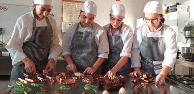 Radomskie szkoły zawodowe zyskały sprzęt, staże i nowe umiejętności dla 270 uczniów